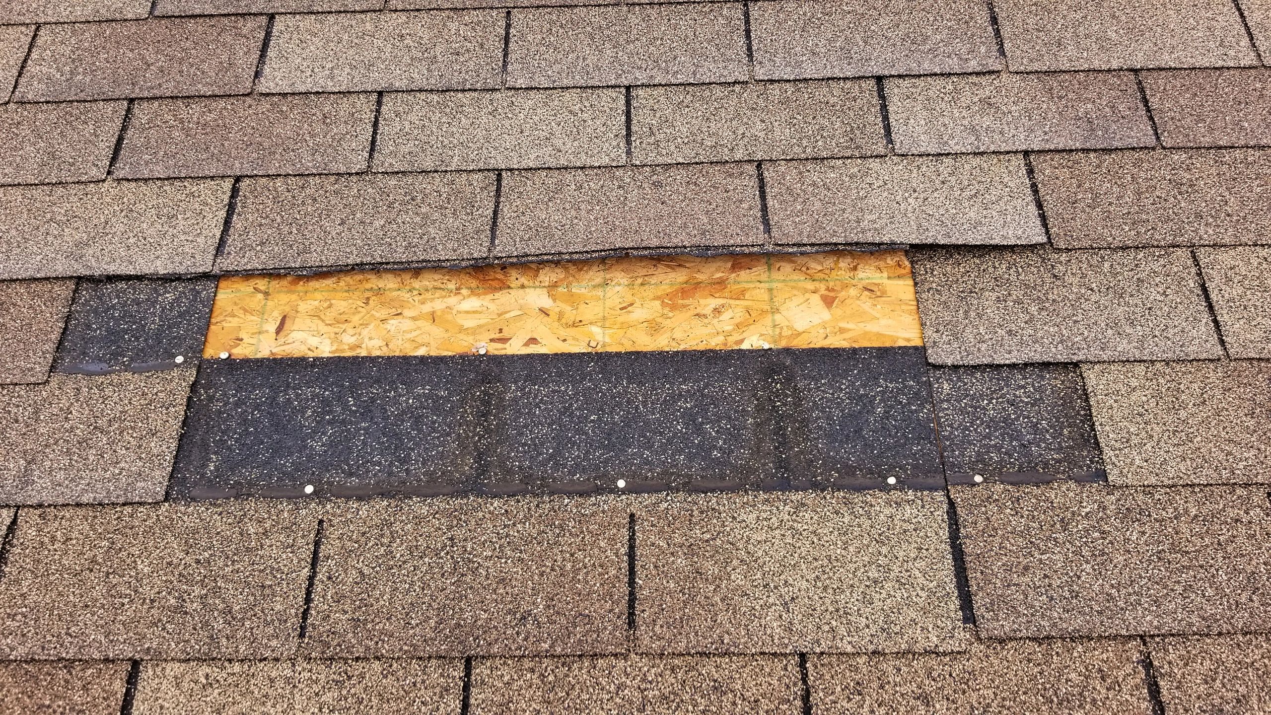 Roofing Common Issues
