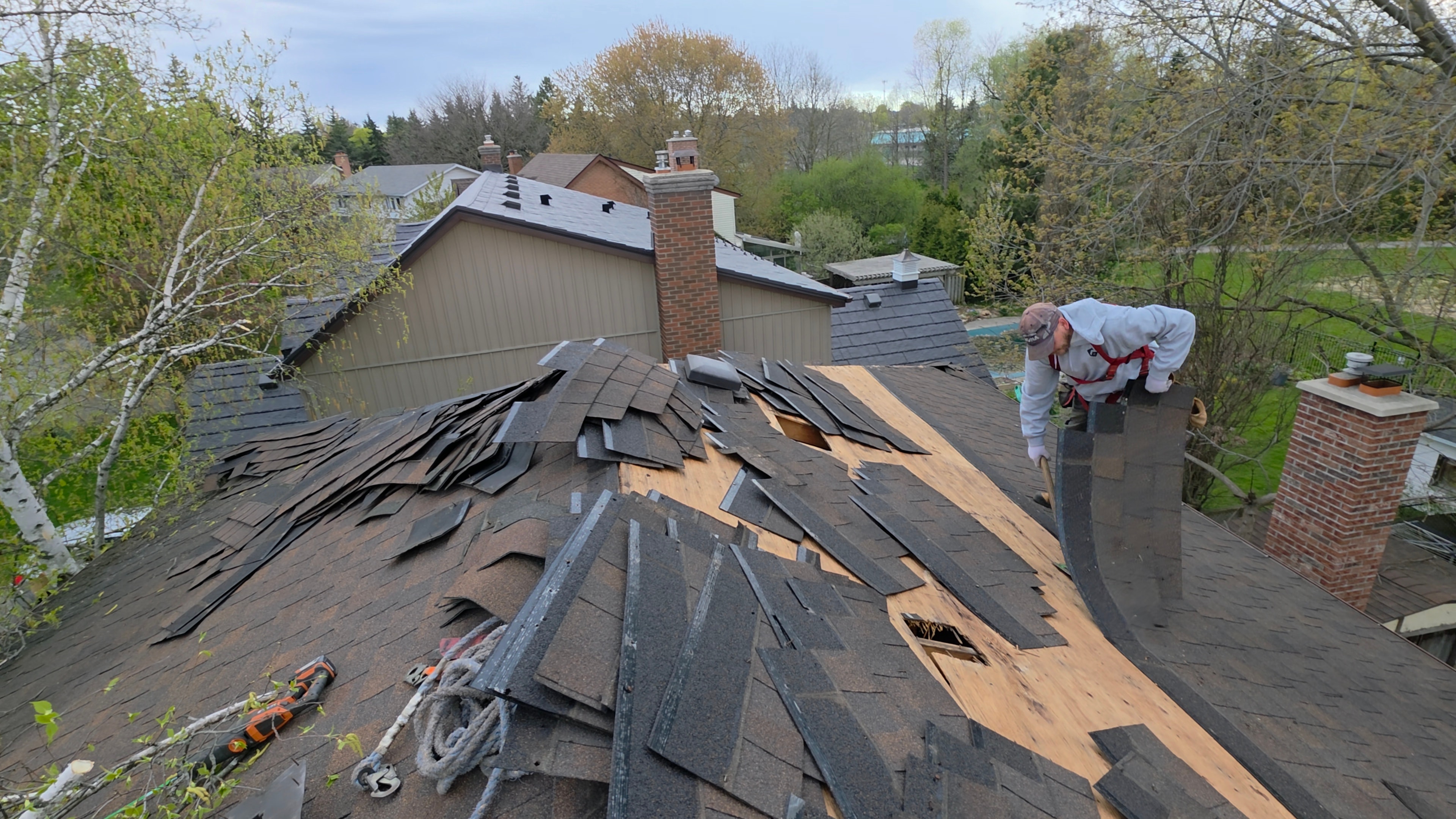 Roofer removing old asphalt shingles from roof deck